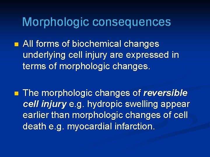 Morphologic consequences n All forms of biochemical changes underlying cell injury are expressed in