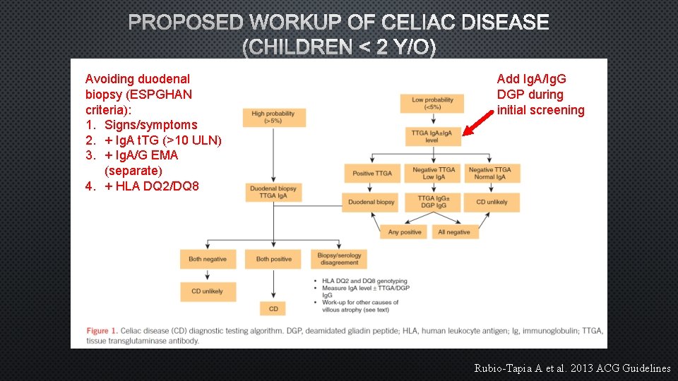 PROPOSED WORKUP OF CELIAC DISEASE (CHILDREN < 2 Y/O) Avoiding duodenal biopsy (ESPGHAN criteria):