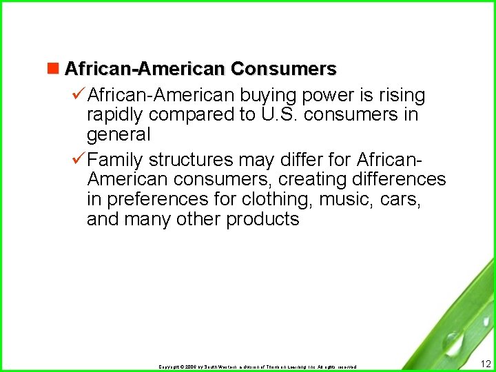 n African-American Consumers üAfrican-American buying power is rising rapidly compared to U. S. consumers