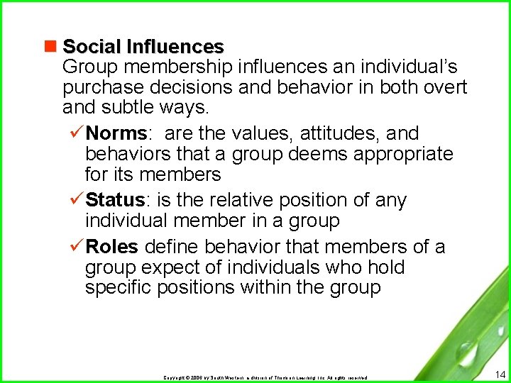n Social Influences Group membership influences an individual’s purchase decisions and behavior in both