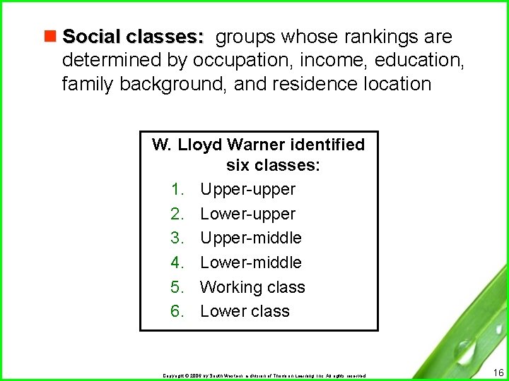 n Social classes: groups whose rankings are determined by occupation, income, education, family background,