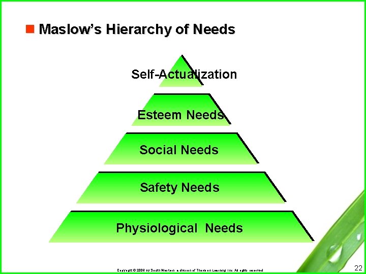 n Maslow’s Hierarchy of Needs Self-Actualization Esteem Needs Social Needs Safety Needs Physiological Needs