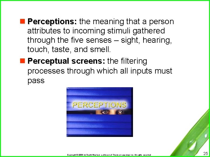 n Perceptions: the meaning that a person attributes to incoming stimuli gathered through the