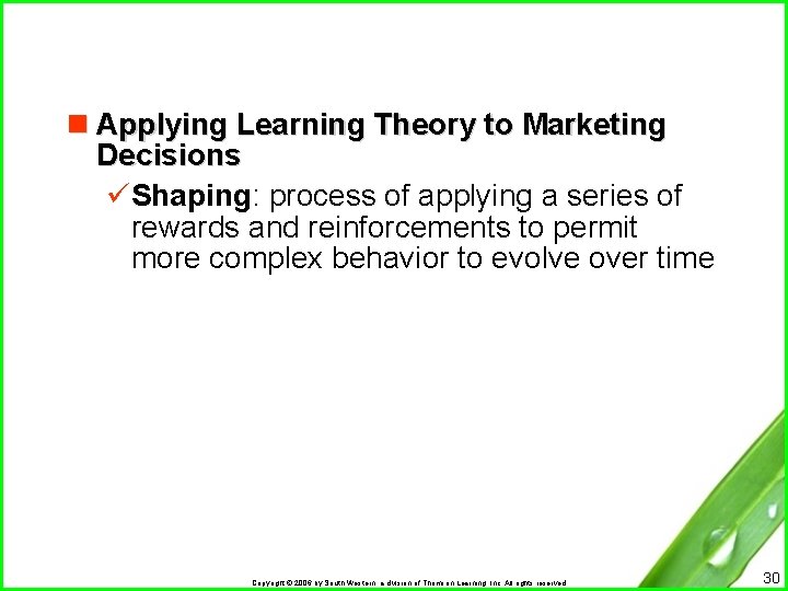 n Applying Learning Theory to Marketing Decisions üShaping: process of applying a series of