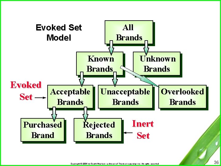 All Brands Evoked Set Model Known Brands Unknown Brands Evoked Acceptable Unacceptable Set Brands