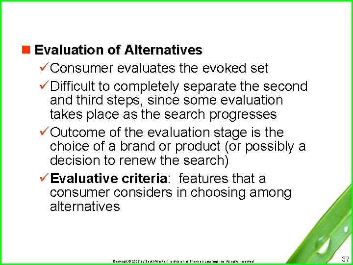 n Evaluation of Alternatives üConsumer evaluates the evoked set üDifficult to completely separate the