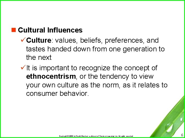 n Cultural Influences üCulture: values, beliefs, preferences, and tastes handed down from one generation