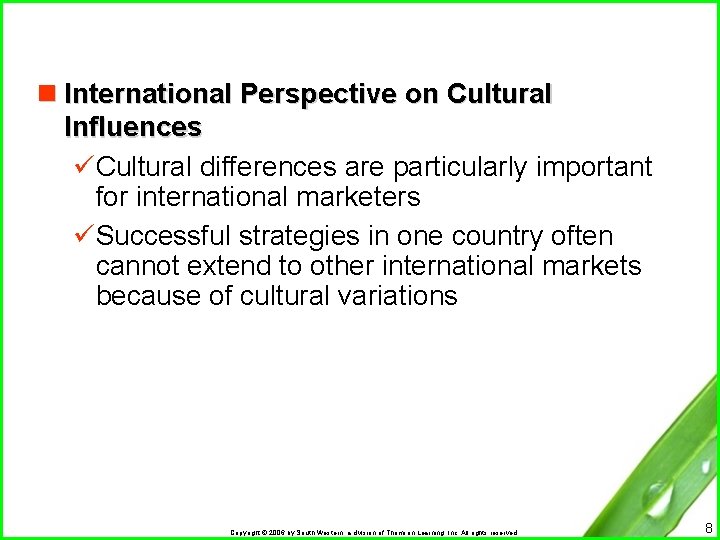n International Perspective on Cultural Influences üCultural differences are particularly important for international marketers