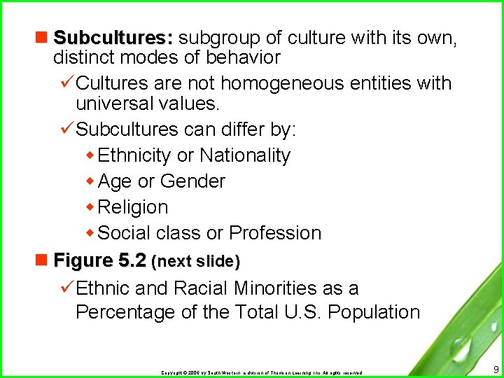 n Subcultures: subgroup of culture with its own, distinct modes of behavior üCultures are