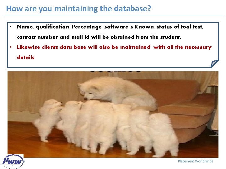 How are you maintaining the database? • Name, qualification, Percentage, software’s Known, status of