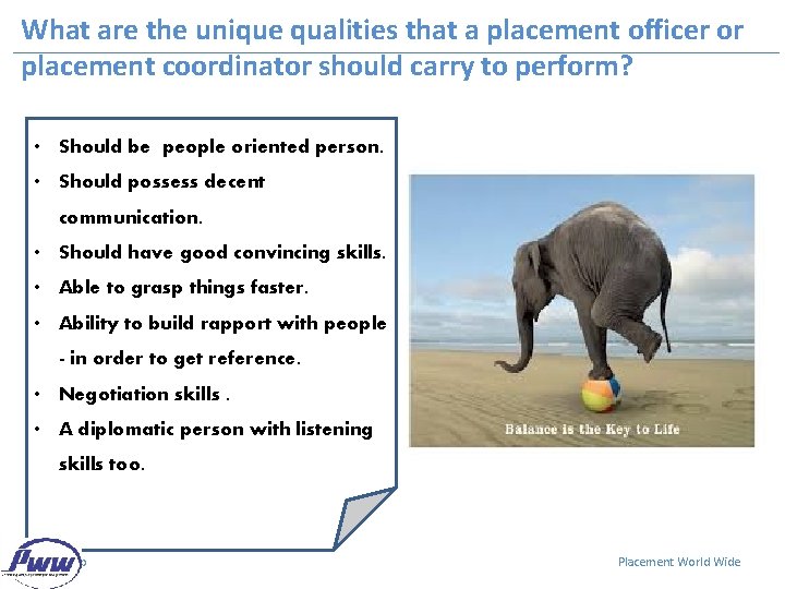 What are the unique qualities that a placement officer or placement coordinator should carry