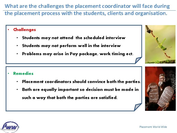 What are the challenges the placement coordinator will face during the placement process with