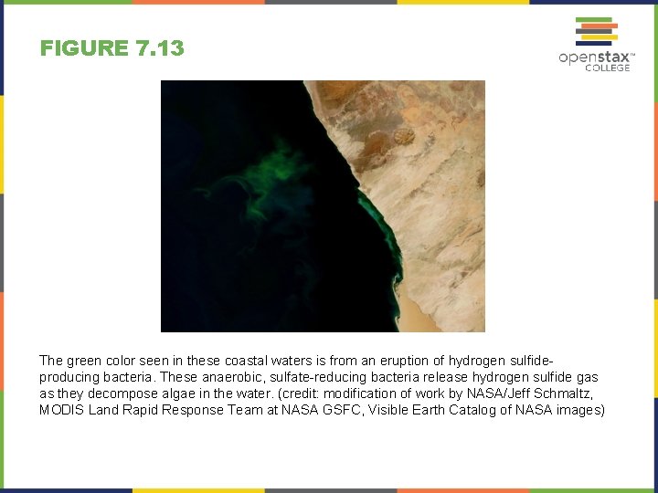 FIGURE 7. 13 The green color seen in these coastal waters is from an