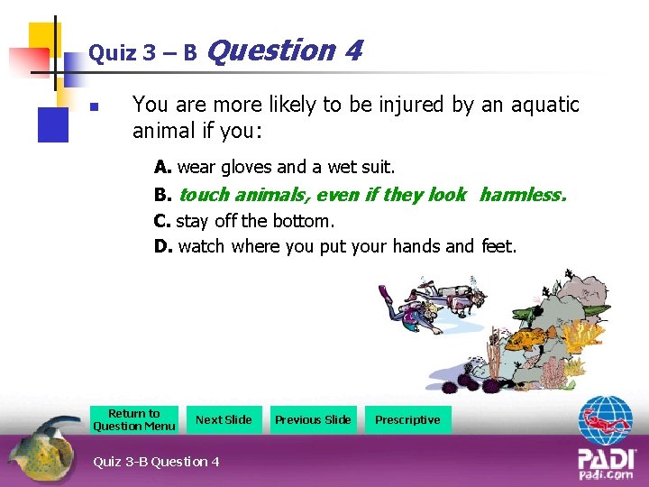 Quiz 3 – B Question n 4 You are more likely to be injured