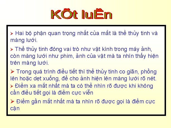 Hai bộ phận quan trọng nhất của mắt là thể thủy tinh và màng