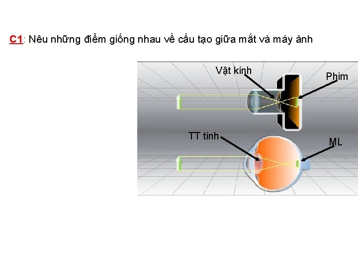 C 1: Nêu những điểm giống nhau về cấu tạo giữa mắt và máy