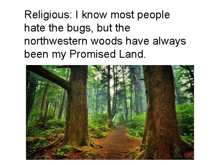 Religious: I know most people hate the bugs, but the northwestern woods have always