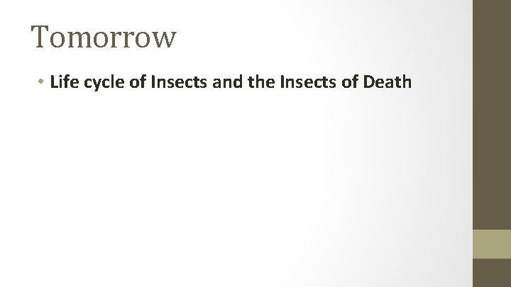 Tomorrow • Life cycle of Insects and the Insects of Death 