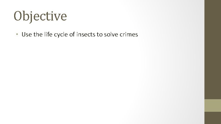 Objective • Use the life cycle of insects to solve crimes 