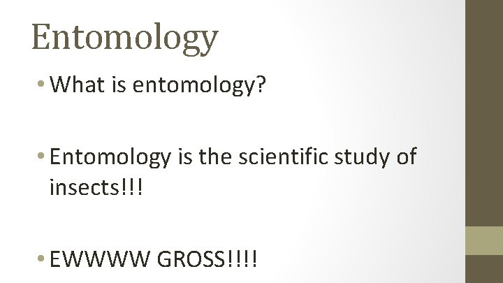 Entomology • What is entomology? • Entomology is the scientific study of insects!!! •