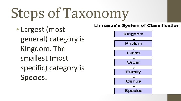 Steps of Taxonomy • Largest (most general) category is Kingdom. The smallest (most specific)