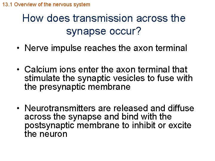 13. 1 Overview of the nervous system How does transmission across the synapse occur?