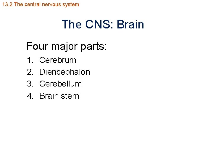 13. 2 The central nervous system The CNS: Brain Four major parts: 1. 2.