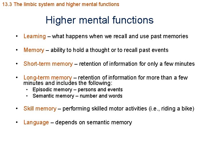 13. 3 The limbic system and higher mental functions Higher mental functions • Learning