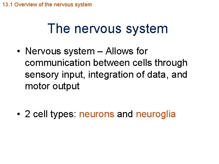 13. 1 Overview of the nervous system The nervous system • Nervous system –