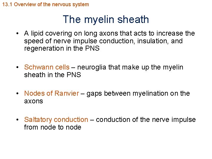 13. 1 Overview of the nervous system The myelin sheath • A lipid covering