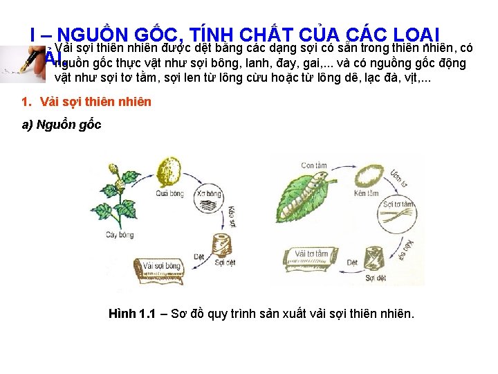 I – NGUỒN GỐC, TÍNH CHẤT CỦA CÁC LOẠI Vải sợi thiên nhiên được