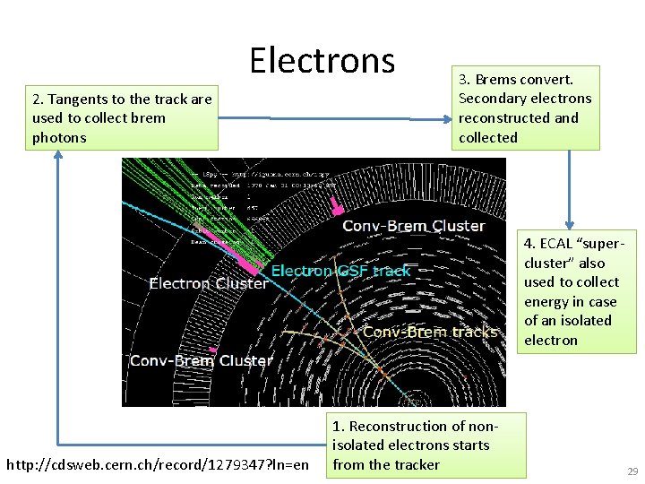 Electrons 2. Tangents to the track are used to collect brem photons 3. Brems