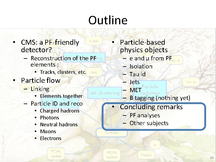 Outline • CMS: a PF-friendly detector? – Reconstruction of the PF elements : •