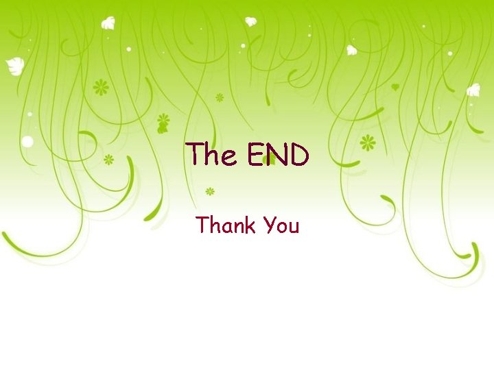 The END Thank You 