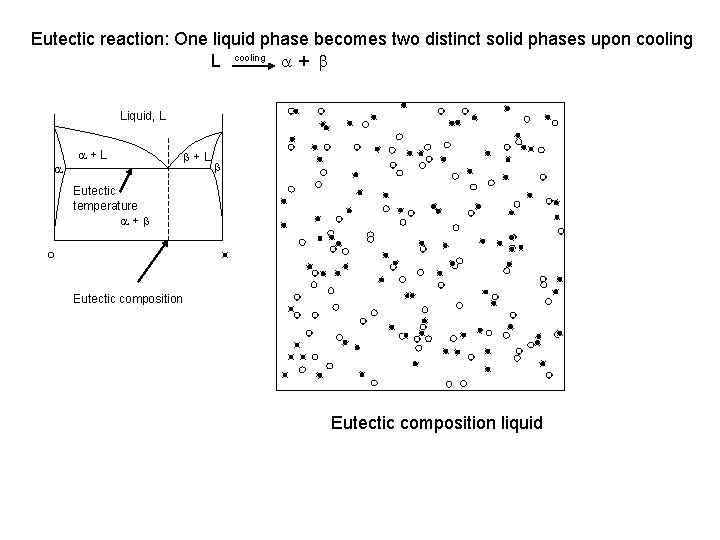Eutectic reaction: One liquid phase becomes two distinct solid phases upon cooling L cooling