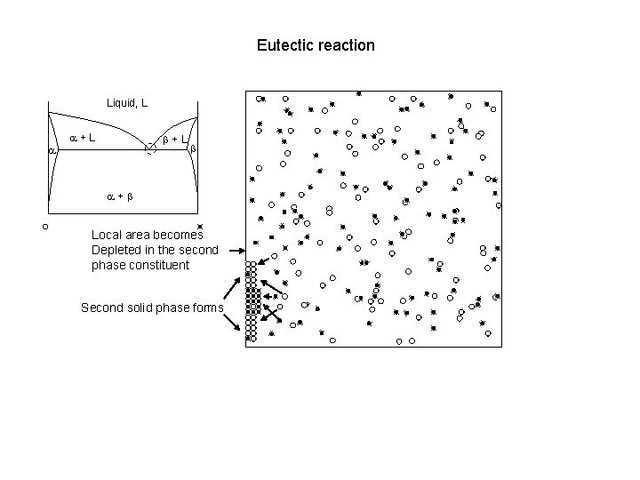 Eutectic reaction Liquid, L a a+L b a+b Local area becomes Depleted in the