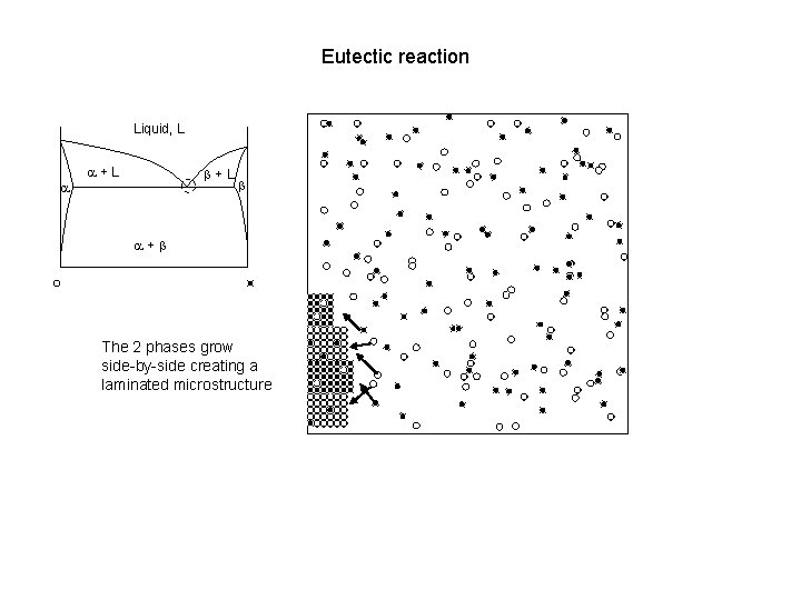 Eutectic reaction Liquid, L a a+L b a+b The 2 phases grow side-by-side creating