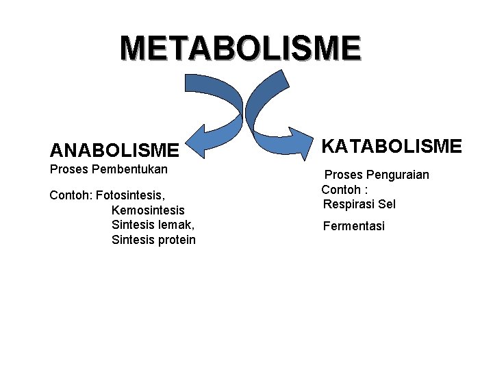 METABOLISME ANABOLISME KATABOLISME Proses Pembentukan Proses Penguraian Contoh : Respirasi Sel Contoh: Fotosintesis, Kemosintesis