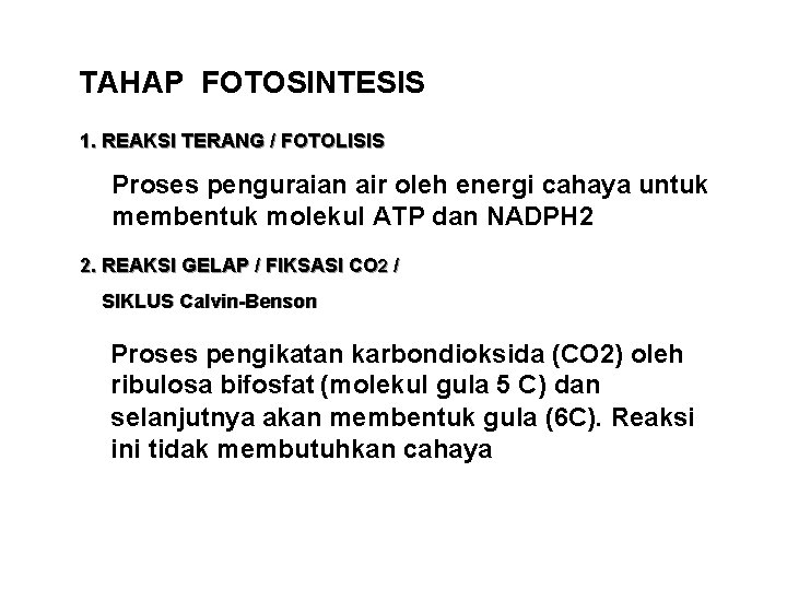 TAHAP FOTOSINTESIS 1. REAKSI TERANG / FOTOLISIS Proses penguraian air oleh energi cahaya untuk