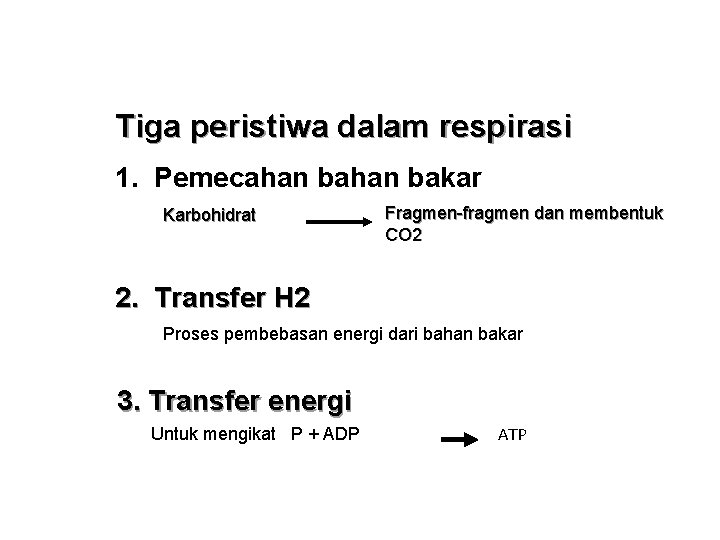 Tiga peristiwa dalam respirasi 1. Pemecahan bakar Karbohidrat Fragmen-fragmen dan membentuk CO 2 2.