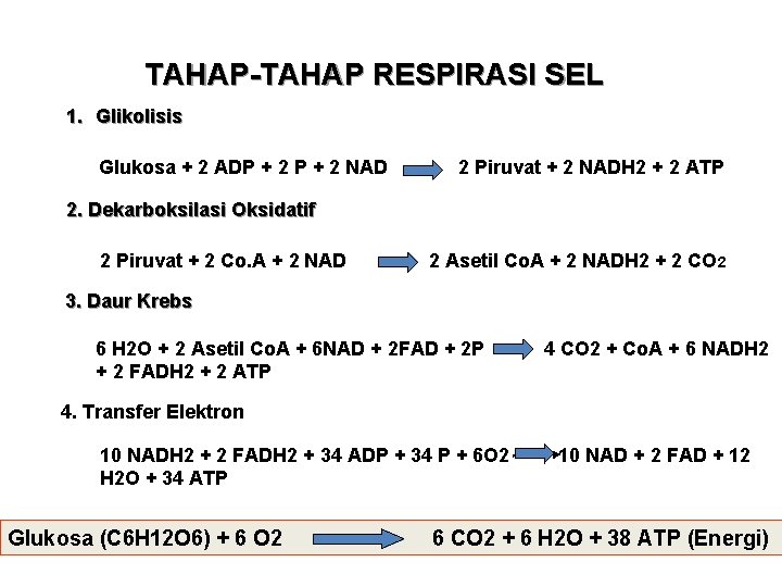 TAHAP-TAHAP RESPIRASI SEL 1. Glikolisis Glukosa + 2 ADP + 2 NAD 2 Piruvat