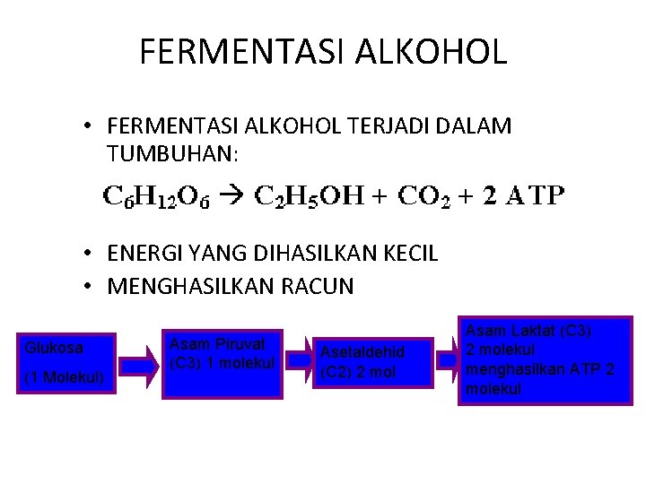 FERMENTASI ALKOHOL • FERMENTASI ALKOHOL TERJADI DALAM TUMBUHAN: • ENERGI YANG DIHASILKAN KECIL •