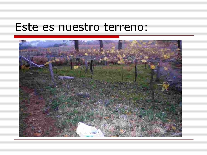 Este es nuestro terreno: 