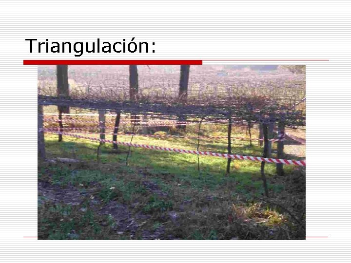 Triangulación: 