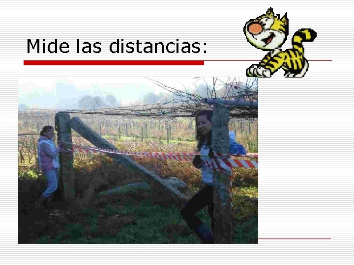 Mide las distancias: 