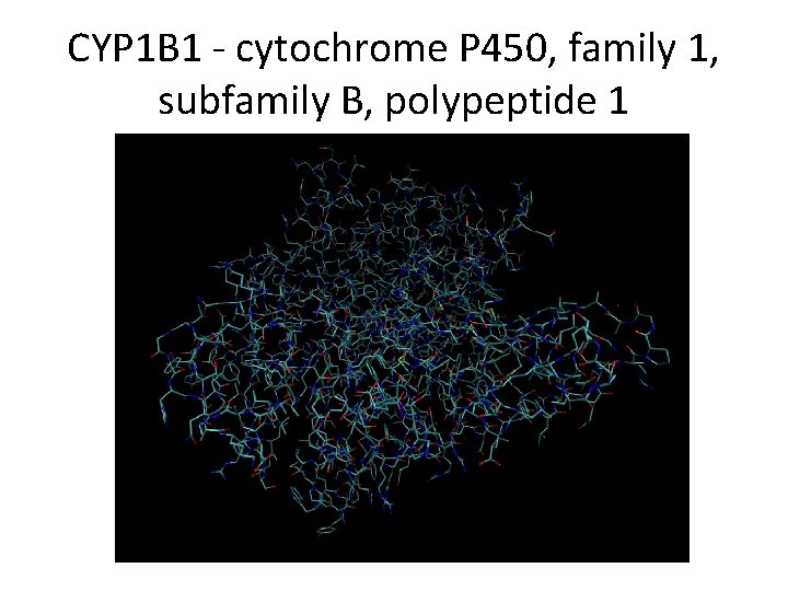 CYP 1 B 1 - cytochrome P 450, family 1, subfamily B, polypeptide 1