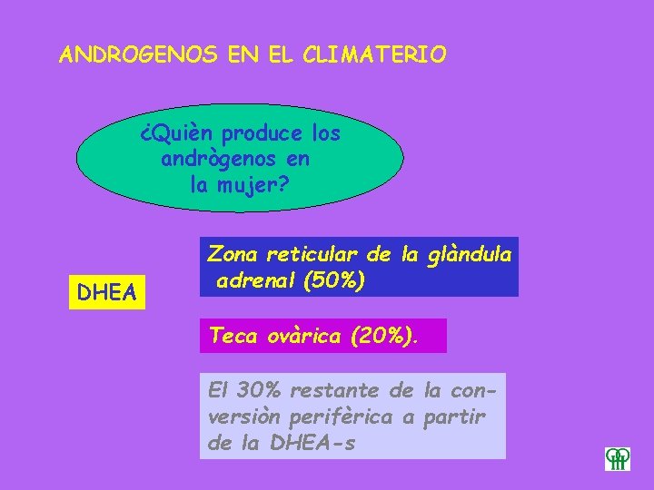 ANDROGENOS EN EL CLIMATERIO ¿Quièn produce los andrògenos en la mujer? DHEA Zona reticular