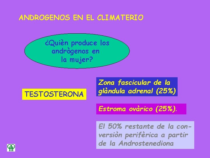 ANDROGENOS EN EL CLIMATERIO ¿Quièn produce los andrògenos en la mujer? TESTOSTERONA Zona fascicular