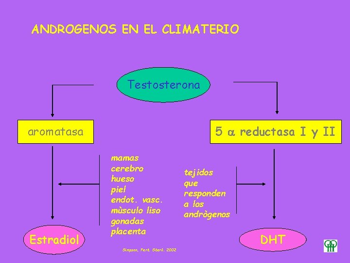 ANDROGENOS EN EL CLIMATERIO Testosterona aromatasa Estradiol 5 reductasa I y II mamas cerebro