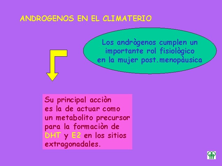 ANDROGENOS EN EL CLIMATERIO Los andrògenos cumplen un importante rol fisiològico en la mujer